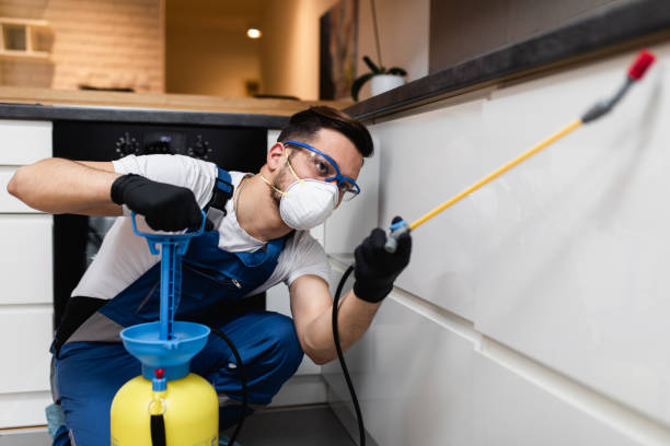 Best Mosquito Control Services  in Hebron, IN