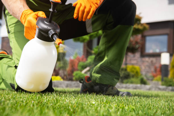 Best Emergency Pest Control  in Hebron, IN