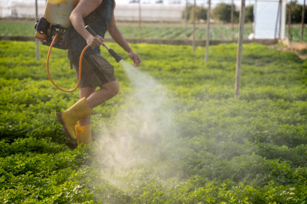 Best Best Pest Control Companies  in Hebron, IN