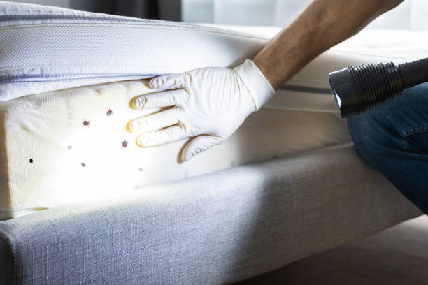 Best Flea Control Services  in Hebron, IN