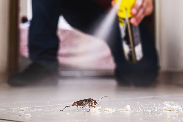 Best Termite Control Services  in Hebron, IN