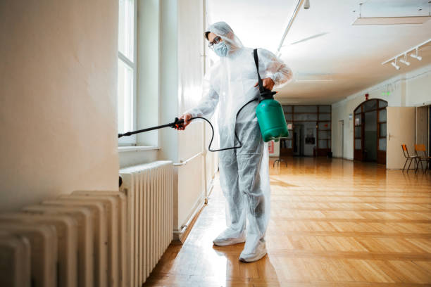 Flea Control Services in Hebron, IN