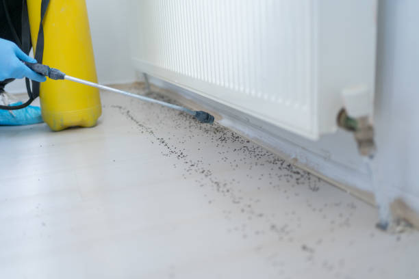 Best Wildlife Control Services  in Hebron, IN