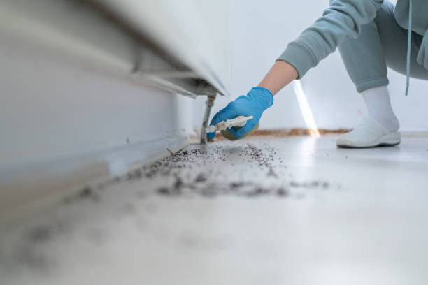 Best Pest Inspection Near Me  in Hebron, IN